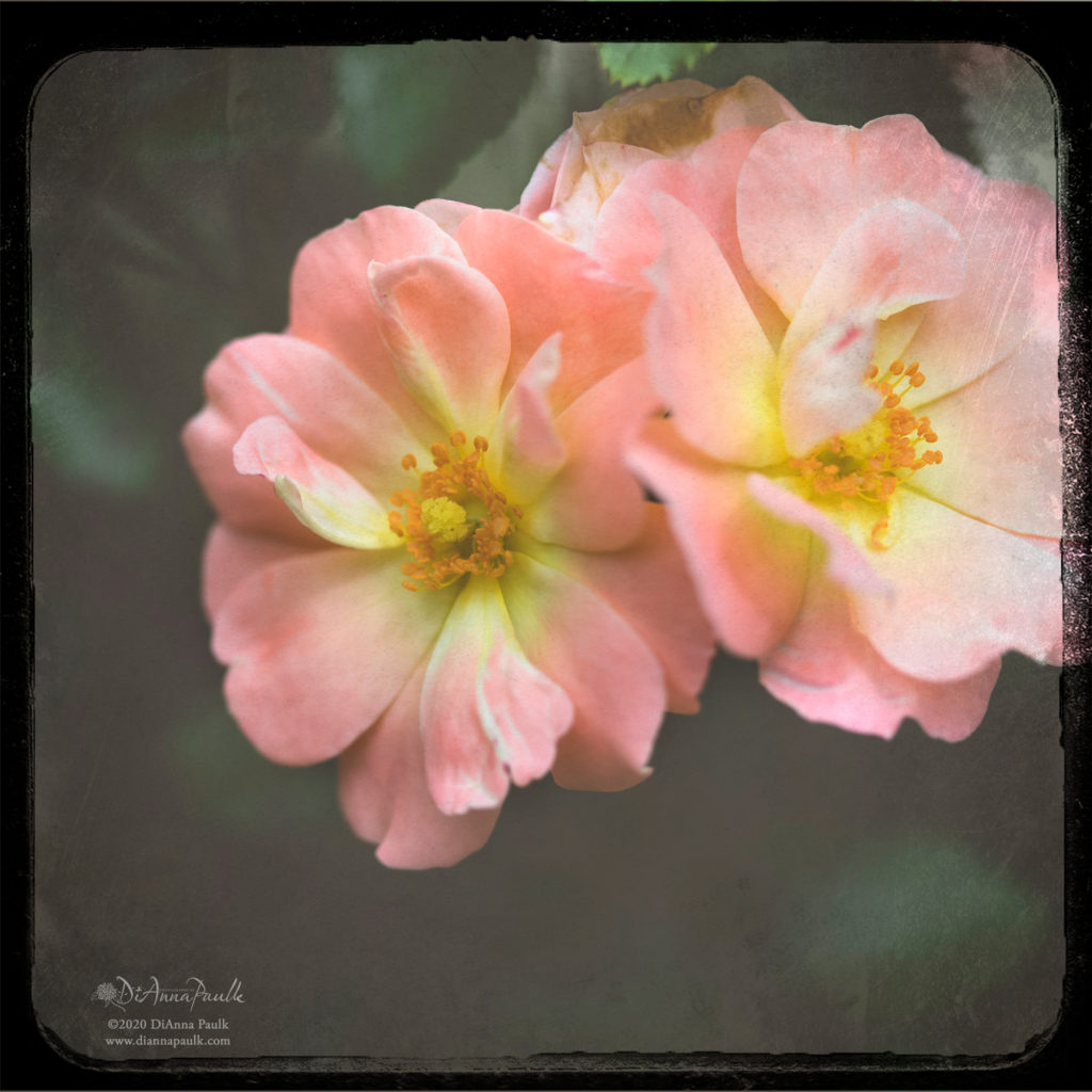 Created with DP-Duaflex 1-6 Texture