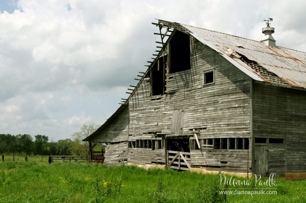 Photograph of Hall Brothers Dairy Barn taken in April 2005.