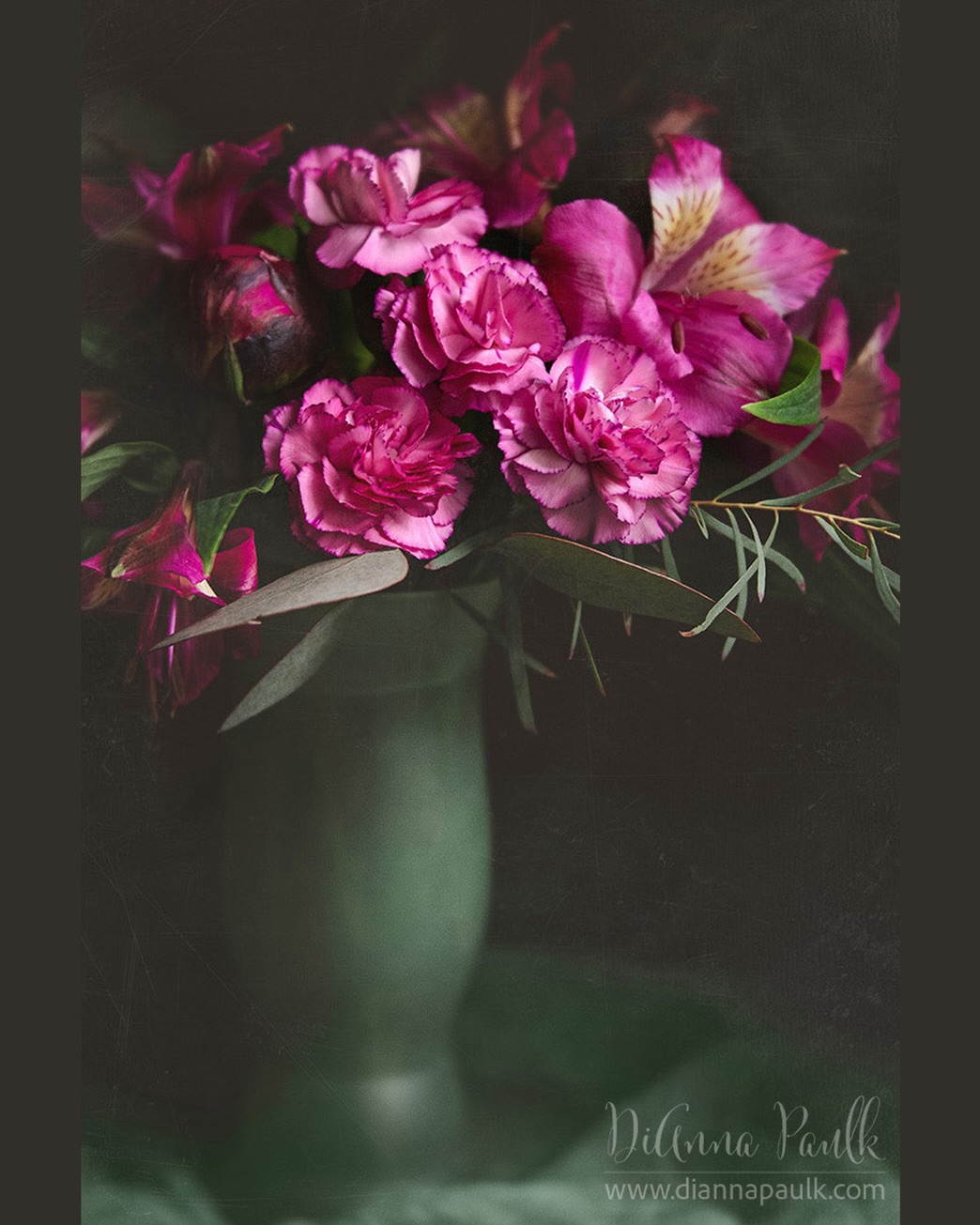 I’ve made it to Day 50 of my 100 Day Challenge.  If you missed the earlier posts, I started a challenge on June 1st to print a flower photo on one side of a 4x6 card and a thought-provoking or inspiring quote on the back.  I moved them over to my other Instagram account @2nd_cup_of_coffee if you’d like to follow along.  I’ve only posted days 1-7 so far as I vacillated on where and how best to post them. 

This photo that I used for my Day 50 card is posted here for the #glorifygodloop … Our goal is to glorify God through the creativity He has given us. To see today’s posts go to #glorifygodloop7_20_26

Bear with each other and forgive one another if any of you has a grievance against someone. Forgive as the Lord forgave you.
Colossians 3:13

•
•
•

#flowerphotography #diannapaulkphotography