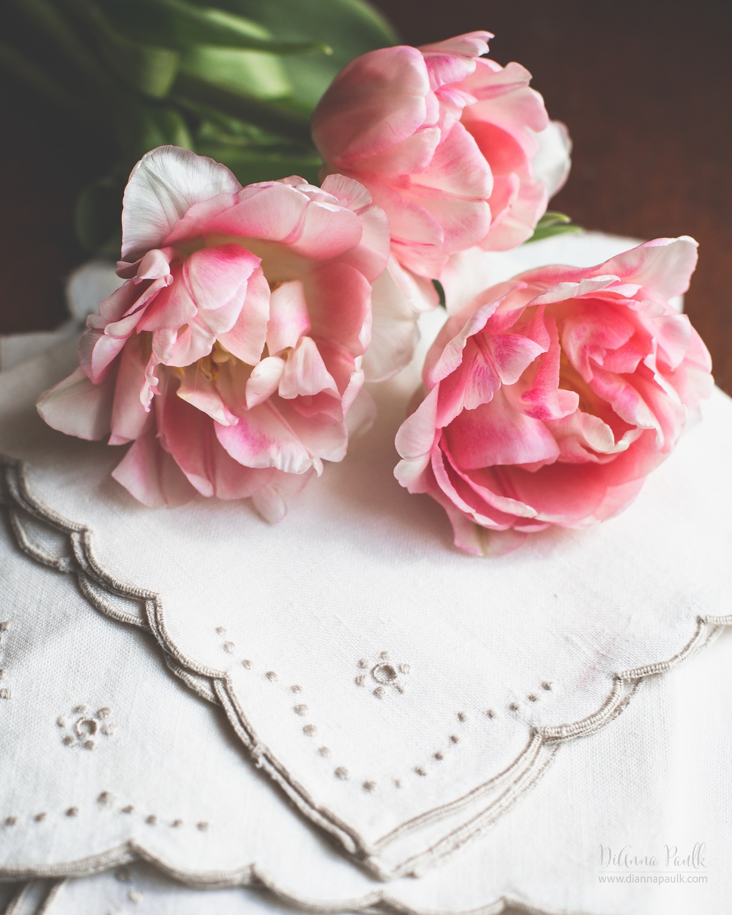 Color Chase Challenge: Dusty Rose

In the May Color Chase Challenge group we’re looking for things with a dusty rose color.

#colorchasechallenge #ccc_dustyrose @colorchasechallenge #floralphotography #stilllifephotography #diannapaulkphotography