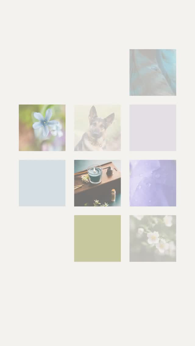 A few of my favorite images from April. 

#floralphotography #stilllifephotography📷 #dogphotography #alabamaphotographer #diannapaulkphotography