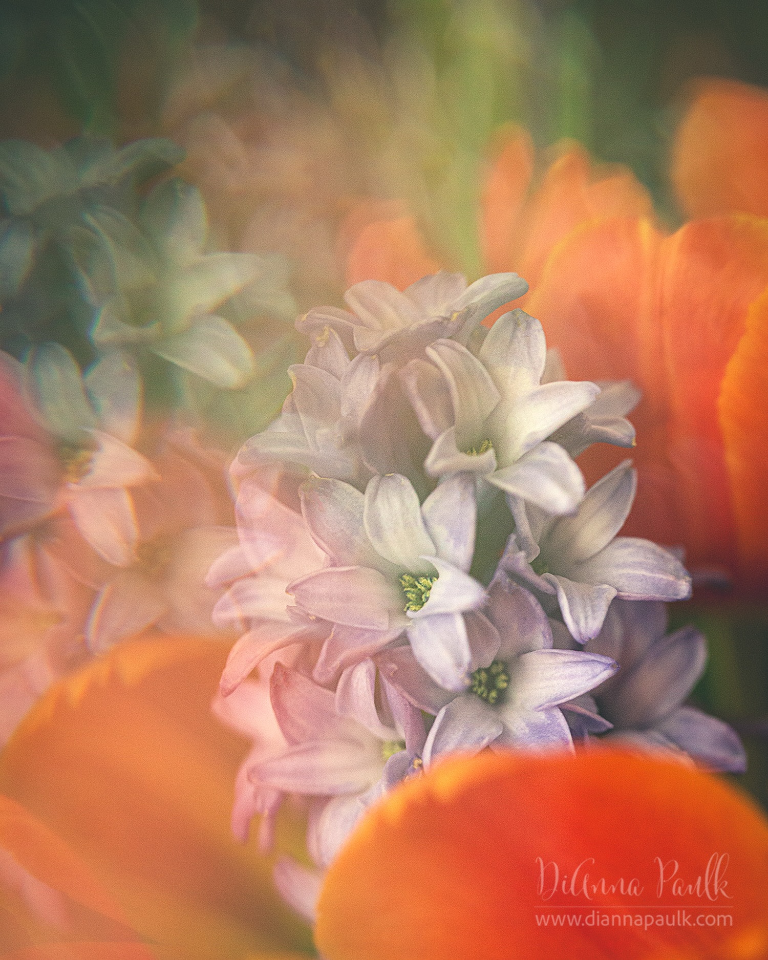Hyacinth and Tulips

This painterly image was created using a Lensbaby Omni glass crystal wand with a Canon 100mm lens.  f/3.2 1/125s ISO 2500 window light.

#flowerphotography #shootextraordinary #diannapaulkphotography #hyacinth #tulip @lensbabyusa