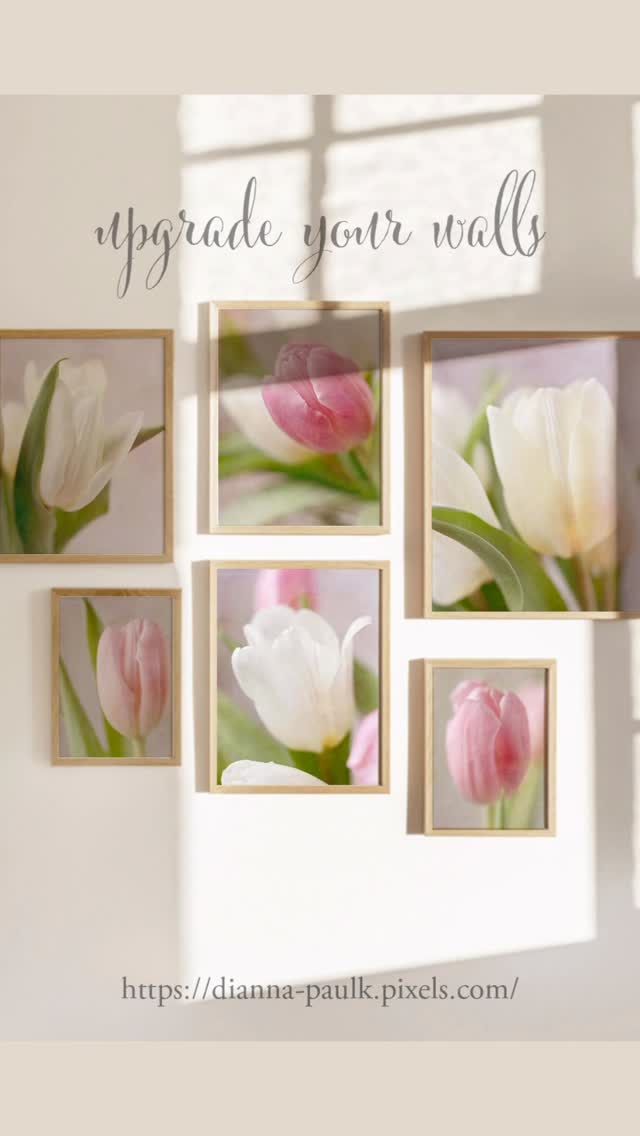 What feeling does this evoke for you?

It’s possible to bring a bit of that feeling into your home and experience it every day. Link to Fine Art America gallery in profile or direct link here: https://dianna-paulk.pixels.com

#upgradeyourwalls #tulips #fineartphotographyprints