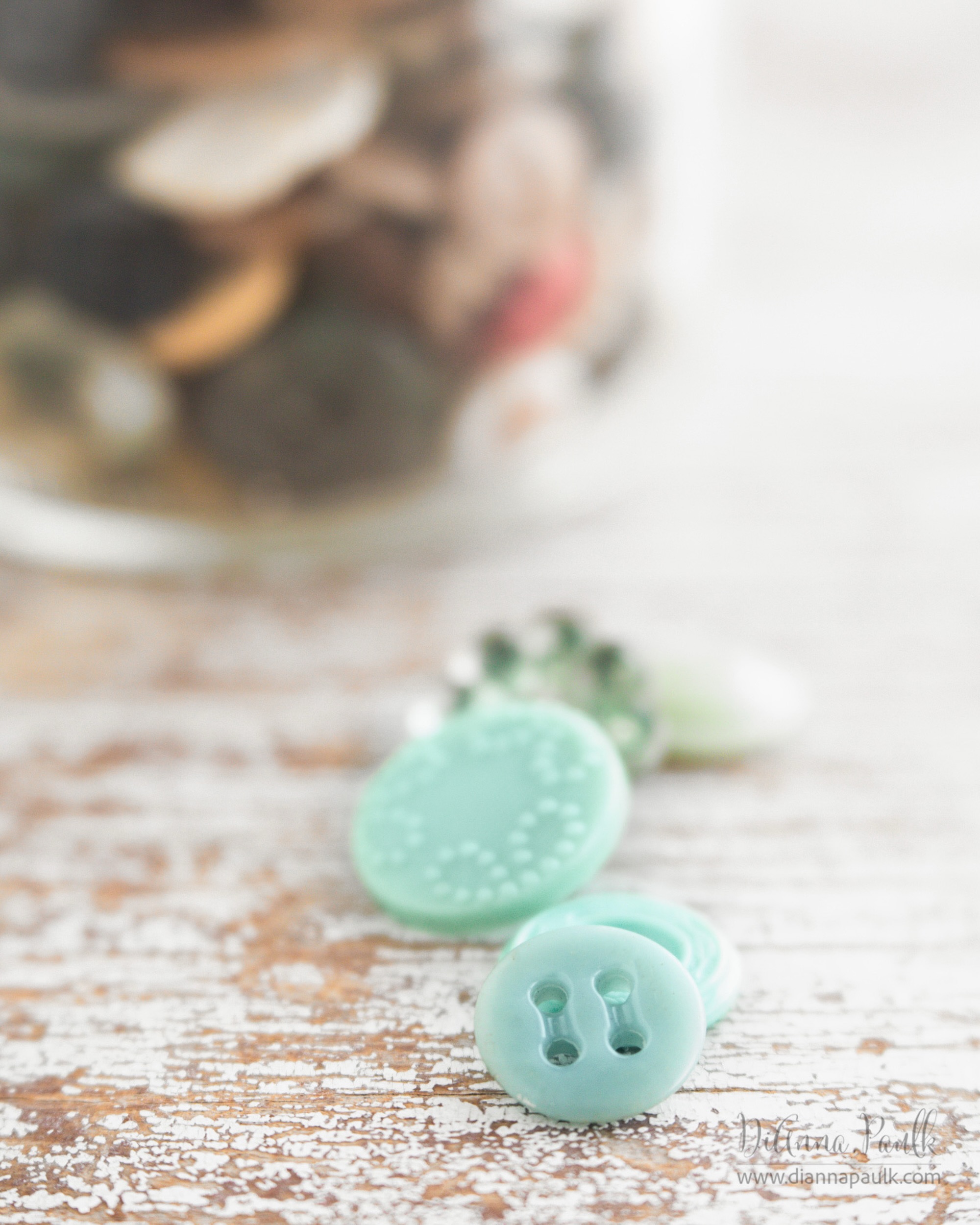 August Color Chase Challenge: Faded Turquoise

I came across my mother’s button jar while looking for items to photograph for this month’s color challenge.  I’d honestly forgotten I had it.  It brought back a flood of memories.

Canon 5D Mark III, Lensbaby Velvet 56 @ f/4, 1/125s, ISO 1000, window light.

#colorchasechallenge #ccc_fadedturquoise #diannapaulkphotography #buttonjar #shootextraordinary @colorchasechallenge
