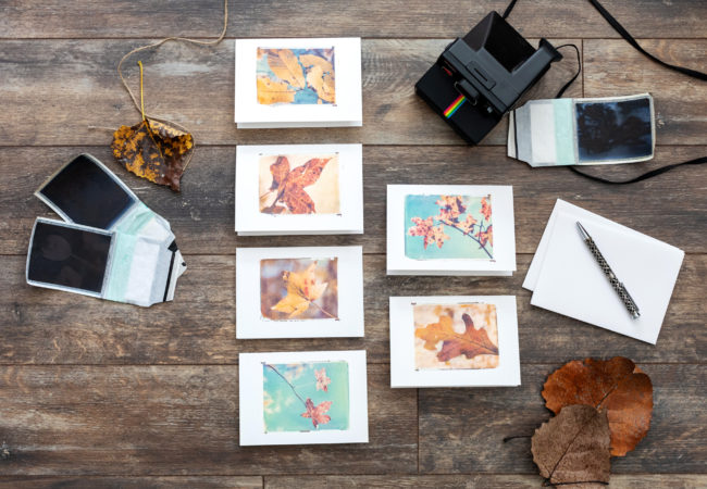 Limited Edition Fall Note Cards