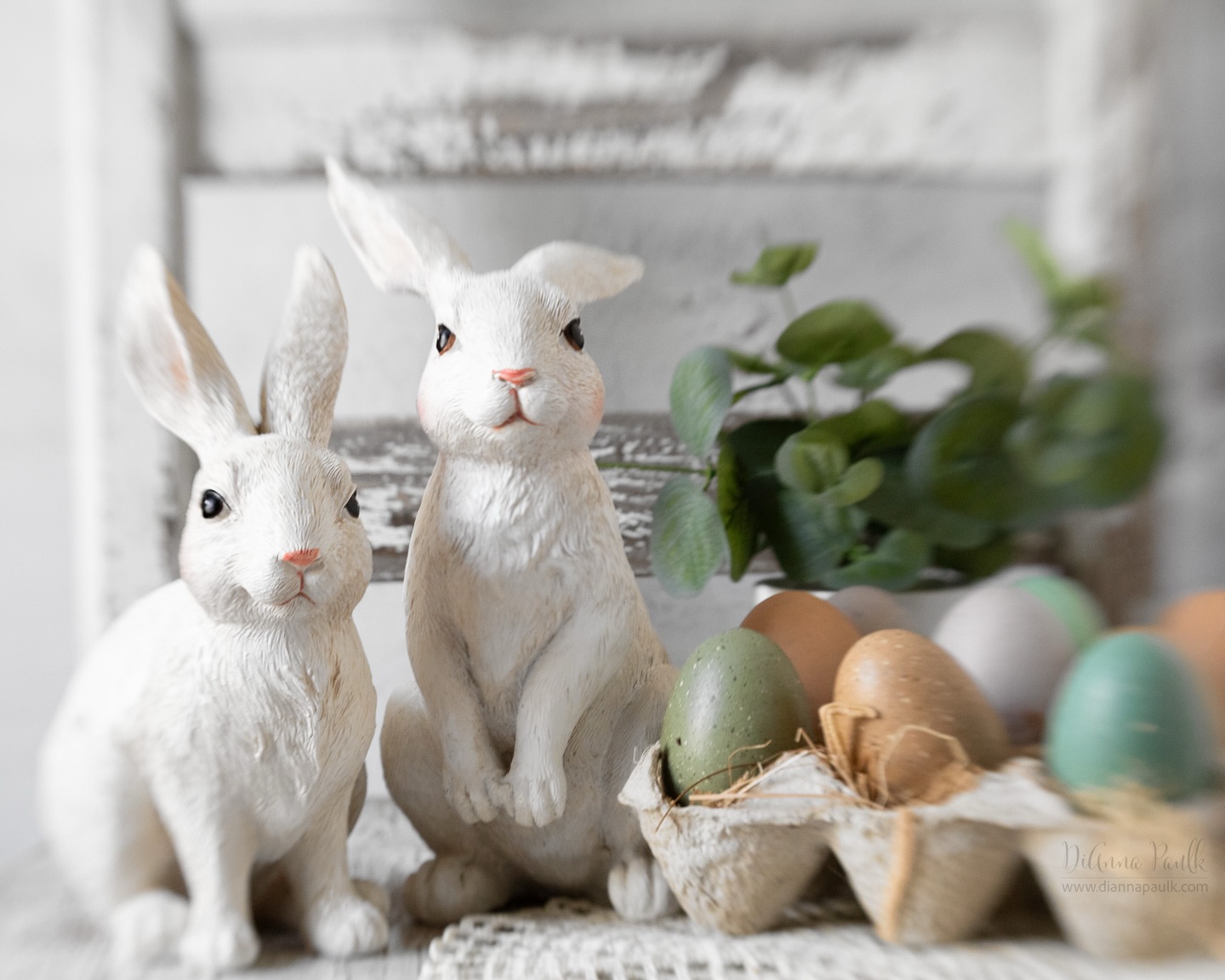 Easter Still Life

I threw together a quick little Easter still life this morning to test some Lensbaby upgrades that arrived yesterday.

Canon 5D Mark IV, Lensbaby Composer Pro II with Double Glass II, f/5.6, ISO 2500, 1/45s, window light camera left, large reflector camera right, minor tweaks in Photoshop.

I’ve been using the original Composer Pro and the original double glass optic since they came out years ago.  I decided to take advantage of the current sale to upgrade to the Composer Pro II and the Double Glass II.  I mainly wanted to upgrade the double glass optic because the original required manual f-stop rings which can be time-consuming and tedious in the field.  I also want to have the composer pro on both cameras so I won’t have to swap out so much while photographing outdoors. 

#easter #stilllifephotography #shootextraordinary #diannapaulkphotography @lensbabyusa