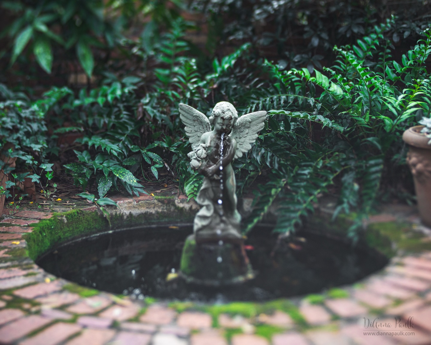 Grace Episcopal Church Garden Feature

Most residents of the Montgomery AL area have heard of or visited the beautiful gardens at Grace Episcopal Church in Pike Road. I had the privilege of photographing there this week and took a little fun walk around after finishing with client sessions.  I came across this feature in a shaded area.  It evoked such a calm, peaceful feeling.  The feeling lingers just looking at this image.  I hope you feel it, too.

Canon 5D Mark IV, Lensbaby Composer Pro with the Edge 50, f/4, 1/350s, ISO 400

@colorchasechallenge #colorchasechallenge #ccc_olivegray @lensbabyusa #shootextraordinary