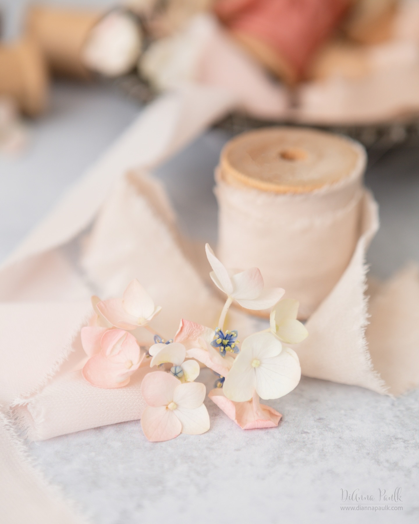 It’s Monday again!  Drink coffee, ignore negativity, be excited about how God will lead you through this week!

#pink #hydrangea #ribbons #stilllifephotography #diannapaulkphotography