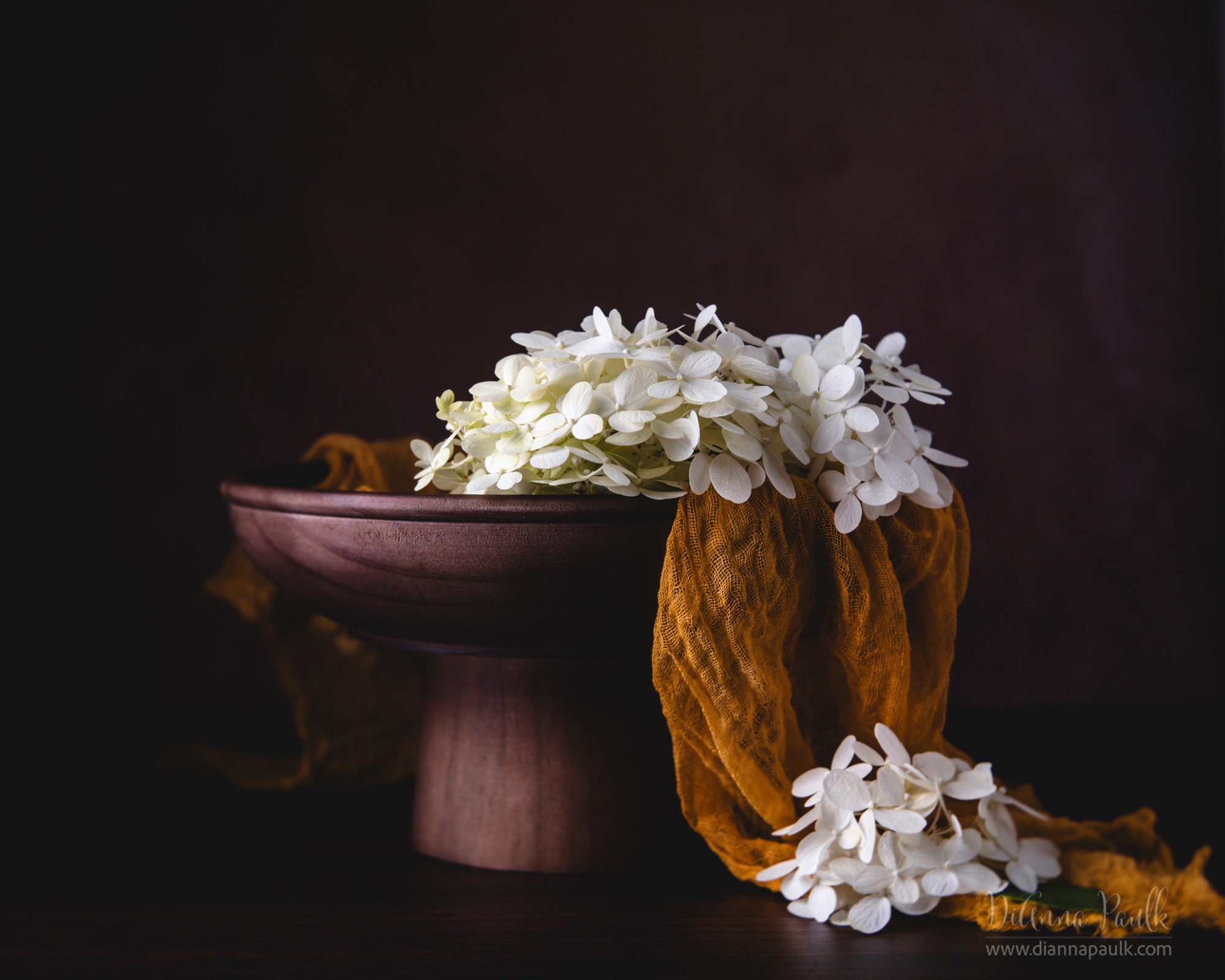 All (honest) photographers will tell you there are days when nothing seems to go right with the shoot.  We just can’t get what we’ve envisioned to come to life in the camera (sans AI!). That’s how my morning started.  We have the last few blooms on the Limelight Hydrangeas and I knew exactly how I wanted to photograph them. It just wasn’t coming together.  I put Pandora on Today’s Christian Hits and just kept changing the pedestal, adjusting the fabric, and moving the light until ... there it was.

Canon 5D Mark III, Lensbaby Velvet 56 at f/5.6, 1/125s, ISO 160, Paul C. Buff Einstein Studio Light camera left.

#shootextraordinary #limelighthydrangea #flowerphotographer #flowerphotography #diannapaulkphotography @lensbabyusa