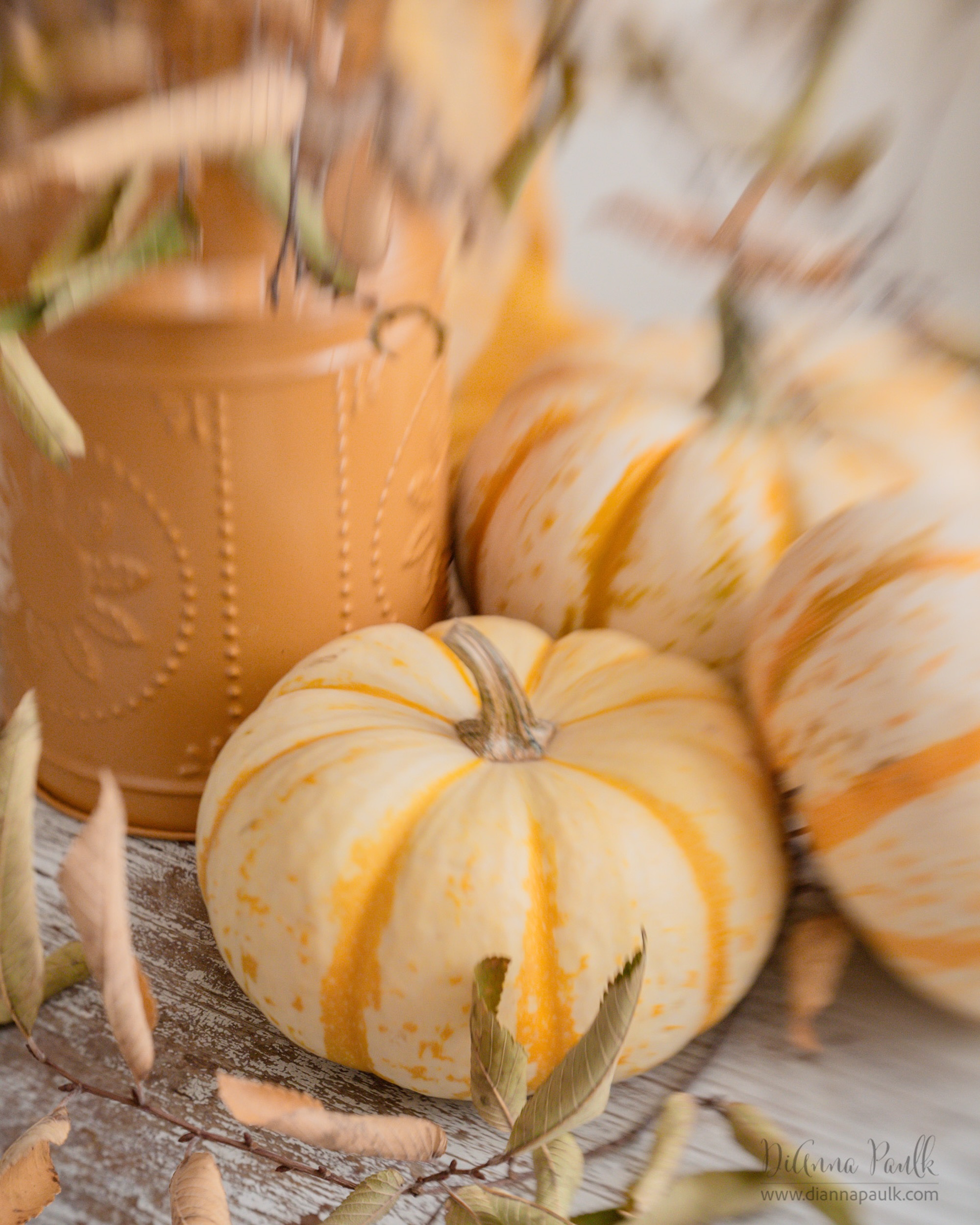 September Color Chase Challenge: Ochre Gold

Canon 5D mark iii + Lensbaby composer pro ii and double glass ii

 #glorifygodloop … Our goal is to glorify God through the creativity He has given us. To see today’s posts go to #glorifygodloop9_21_26

“The Lord is more pleased when we do what is right and just than when we offer him sacrifices.”
‭‭Proverbs‬ ‭21‬:‭3‬ ‭NLT‬‬

•
•
•

Let’s get God’s word out there! Message me if you’re interested in joining us!

#colorchasechallenge #ccc_ochregold #shootextraordinary @lensbabyusa @colorchasechallenge