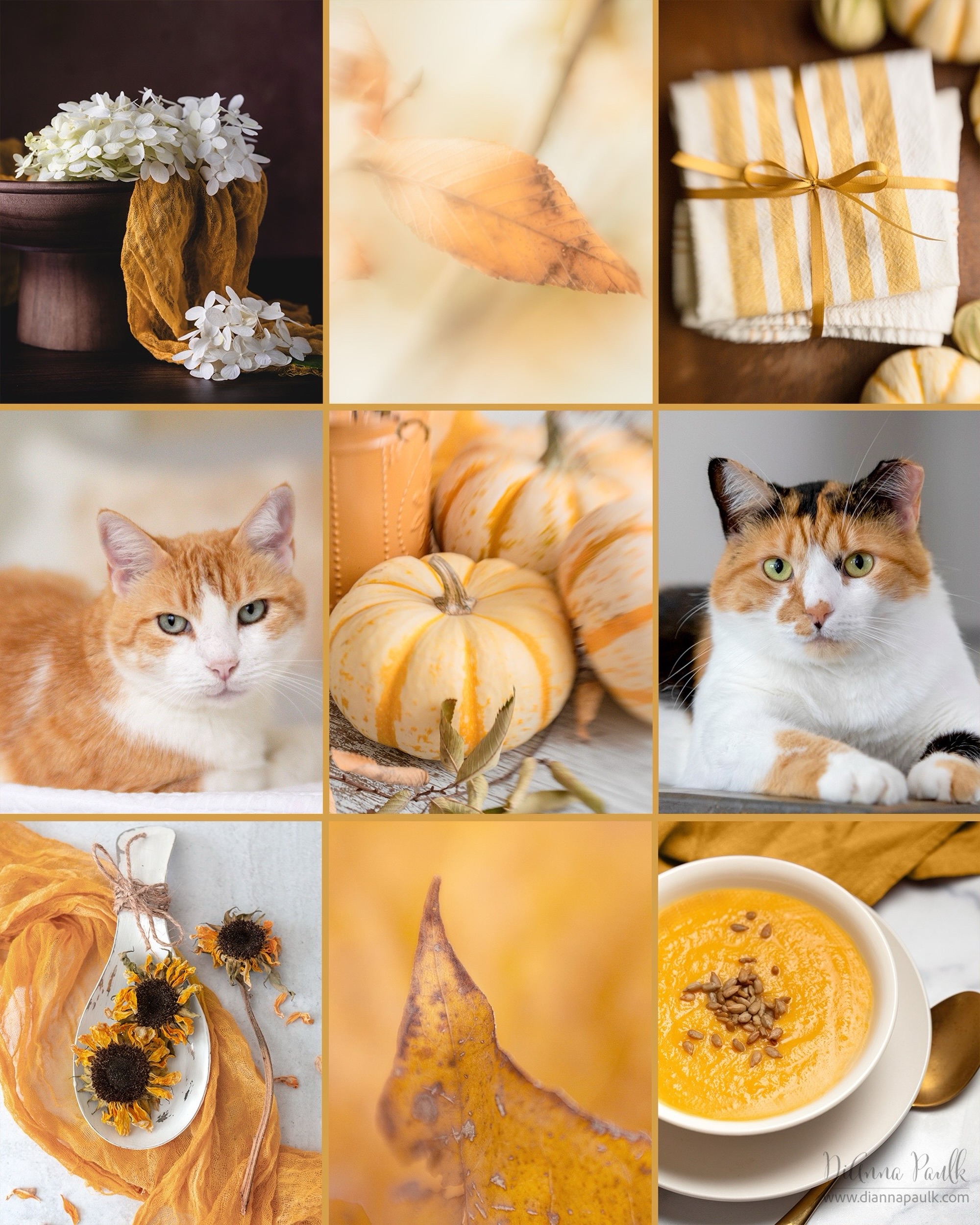 September Color Chase Challenge Grid: Ochre Gold

#colorchasechallenge @colorchasechallenge #ccc_ochregold #diannapaulkphotography #september2026