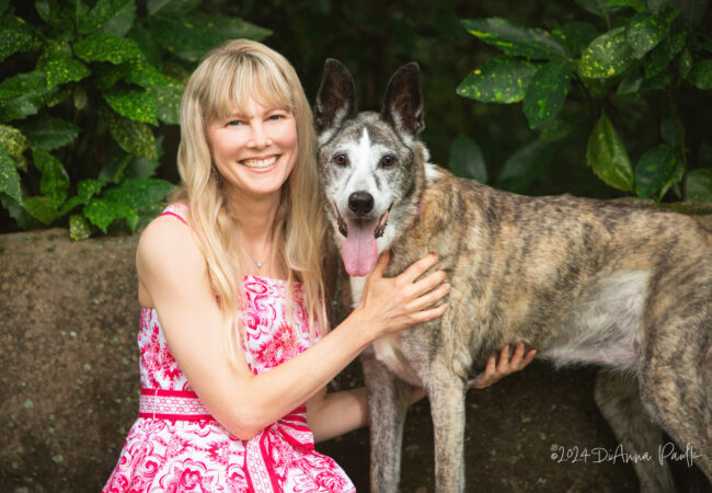 Look Inside a Pet Portrait Session