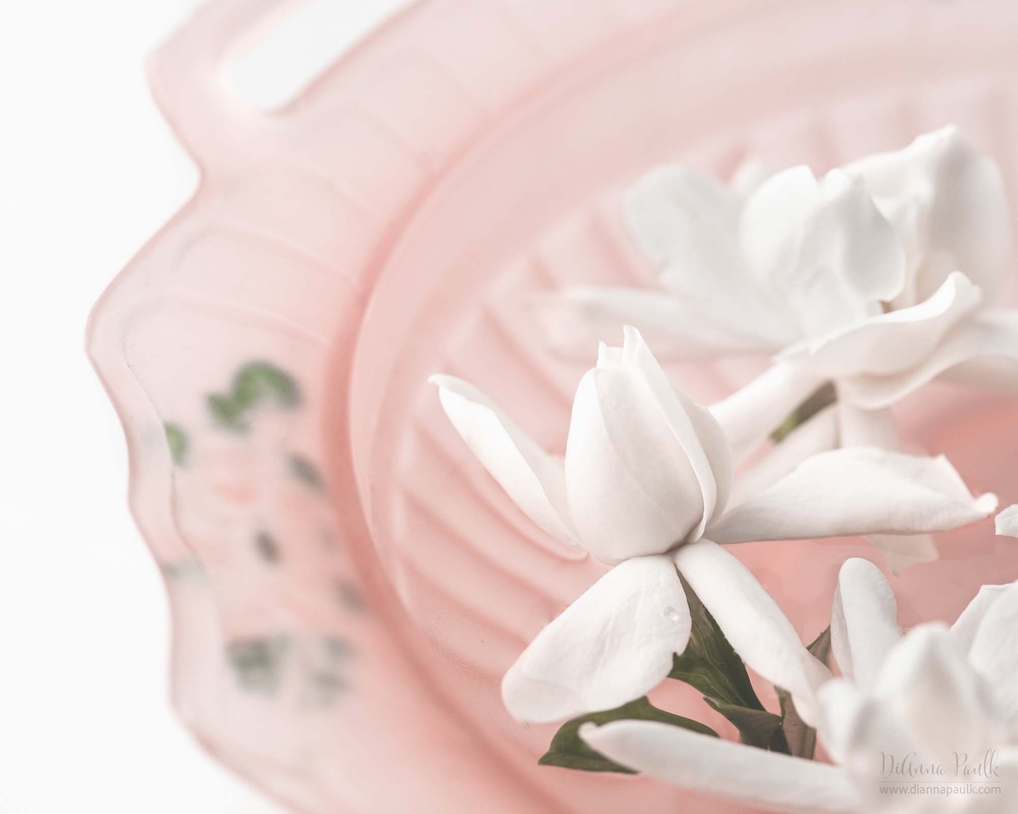 May Color Chase Challenge: Dusty Pink

My dad had magnificent Gardenia bushes that were as big as some trees.  He would never let us cut the stems but would let us pluck off the open blooms and float them in a bowl of water.  That way all the blooms would have a chance to open as Gardenias tend to have more than one bloom per stem.  I still do that thinking of my dad’s instructions every time. 

These are the last blooms from what has been a record year for our Gardenias.  They’re floating in a pretty pink bowl. I have no memory of where it came from.  I can tell it was hand painted so am trying to preserve what I can of it.

#ccc_dustypink #ccc_dustyrose #colorchasechallenge @colorchasechallenge #diannapaulkphotography #gardenias