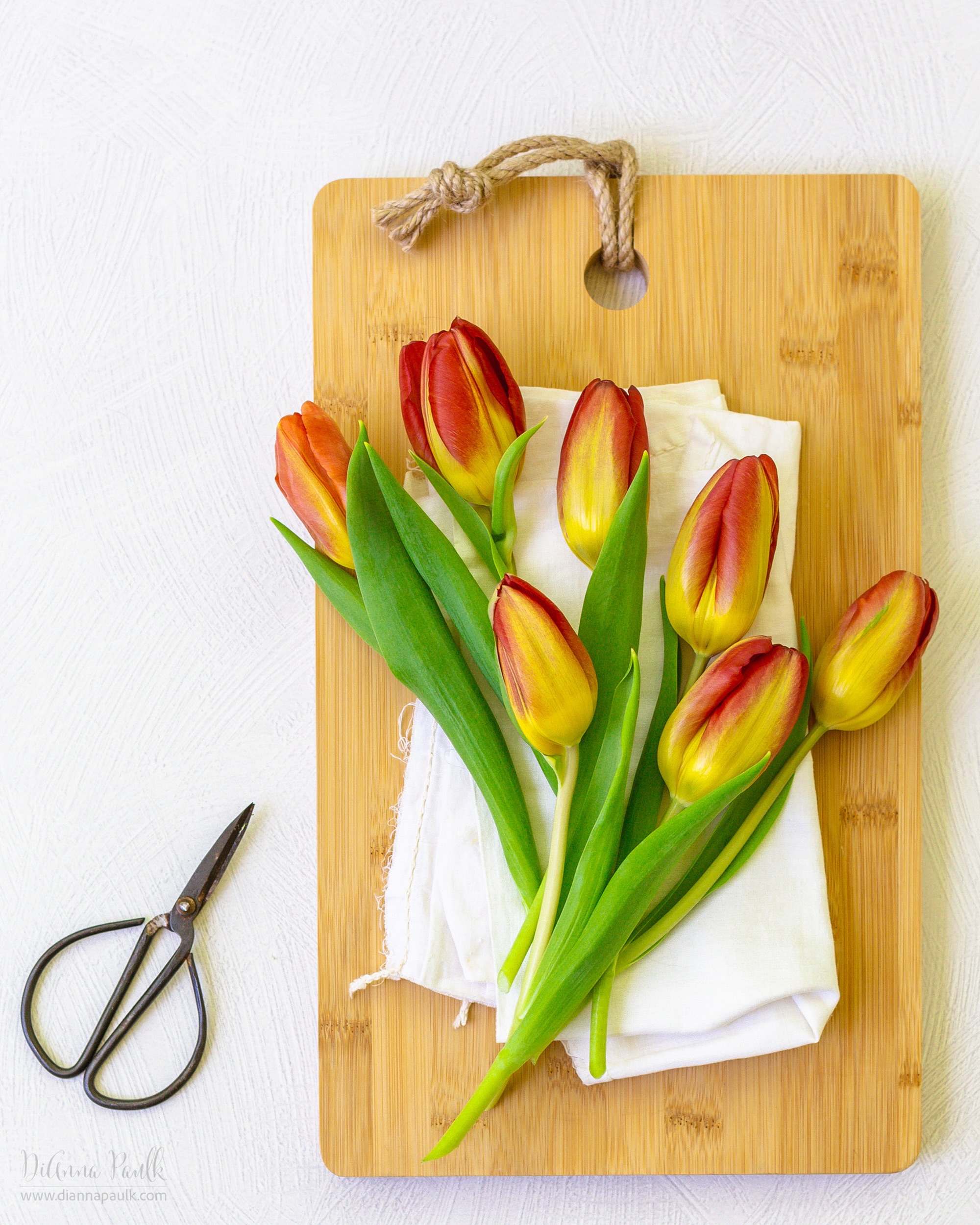 A little Tulip Still Life for our Monday #glorifygodloop … Our goal is to glorify God through the creativity He has given us. To see today’s posts go to #glorifygodloop6_08_26

Finally, brethren, rejoice, be made complete, be comforted, be like-minded, live in peace; and the God of love and peace will be with you.
2 Corinthians 13:11

#tulips #diannapaulkphotography #stilllifephotography