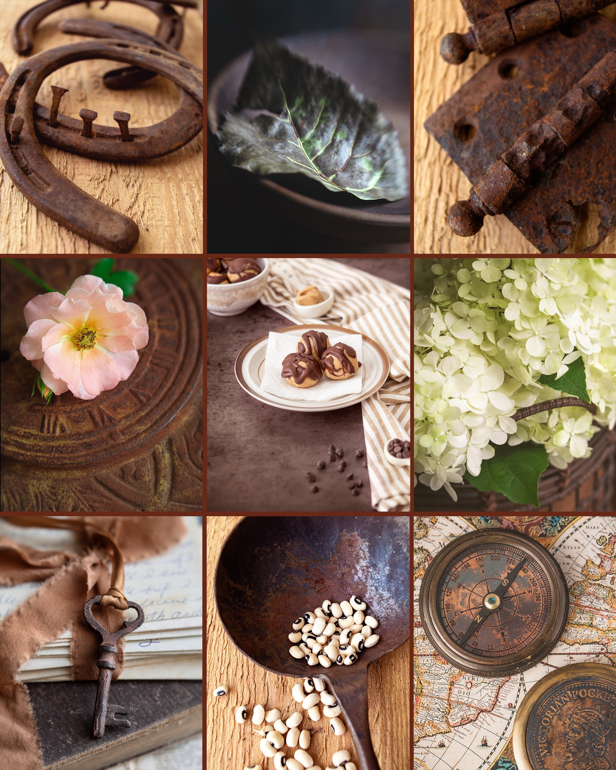 Color Chase Challenge June Grid for Dark Oxide Brown

@colorchasechallenge #colorchasechallenge #ccc_oxidebrown #diannapaulkphotography #june2026