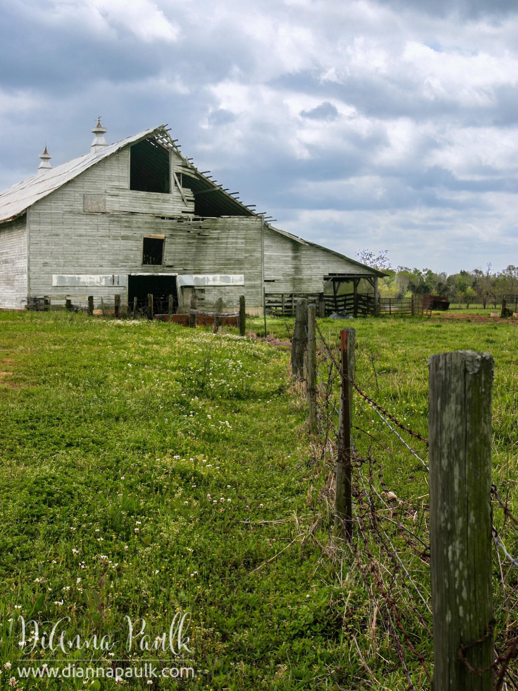 If you remember the Hall Brothers Dairy Barn on 331 in South Montgomery County AL you may be interested in today’s blog post.  I came across some pictures I took of it in April 2005.  The barn is no longer there so I’m very glad I have these.  Direct link to the post here for Facebook viewers: https://photographybydiannapaulk.com/2026/07/24/hall-brothers-dairy-2005/  If you’re viewing on Instagram there’s a link to the blog in my profile.

#diannapaulkphotography #forgottenplaces #dairybarn #barnlovers  #abandonedbarns