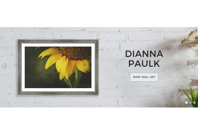 Fine Art Prints