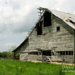 Photograph of Hall Brothers Dairy Barn taken in April 2005.