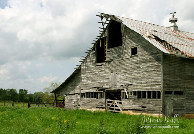 Hall Brothers Dairy (2005)