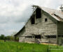 Hall Brothers Dairy (2005)